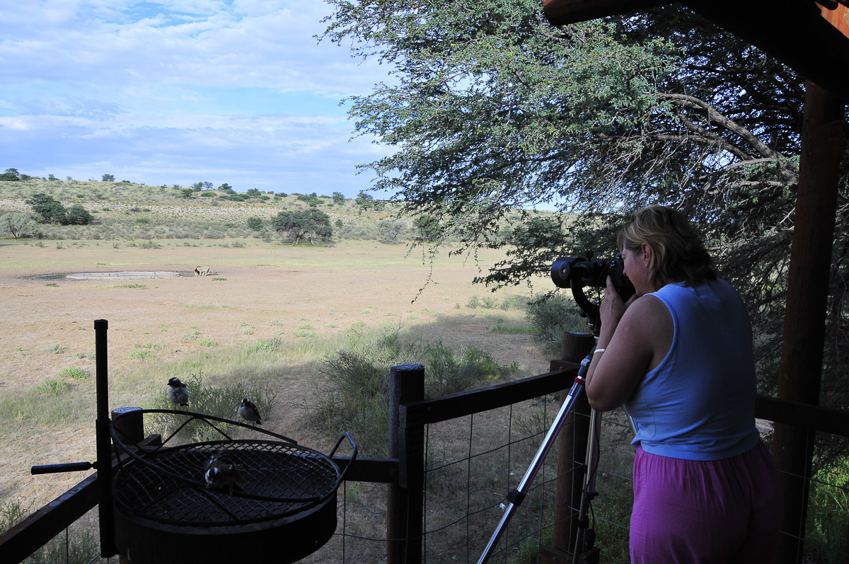 Jenny photographing a male lion drinking at Urikaruus waterhole
