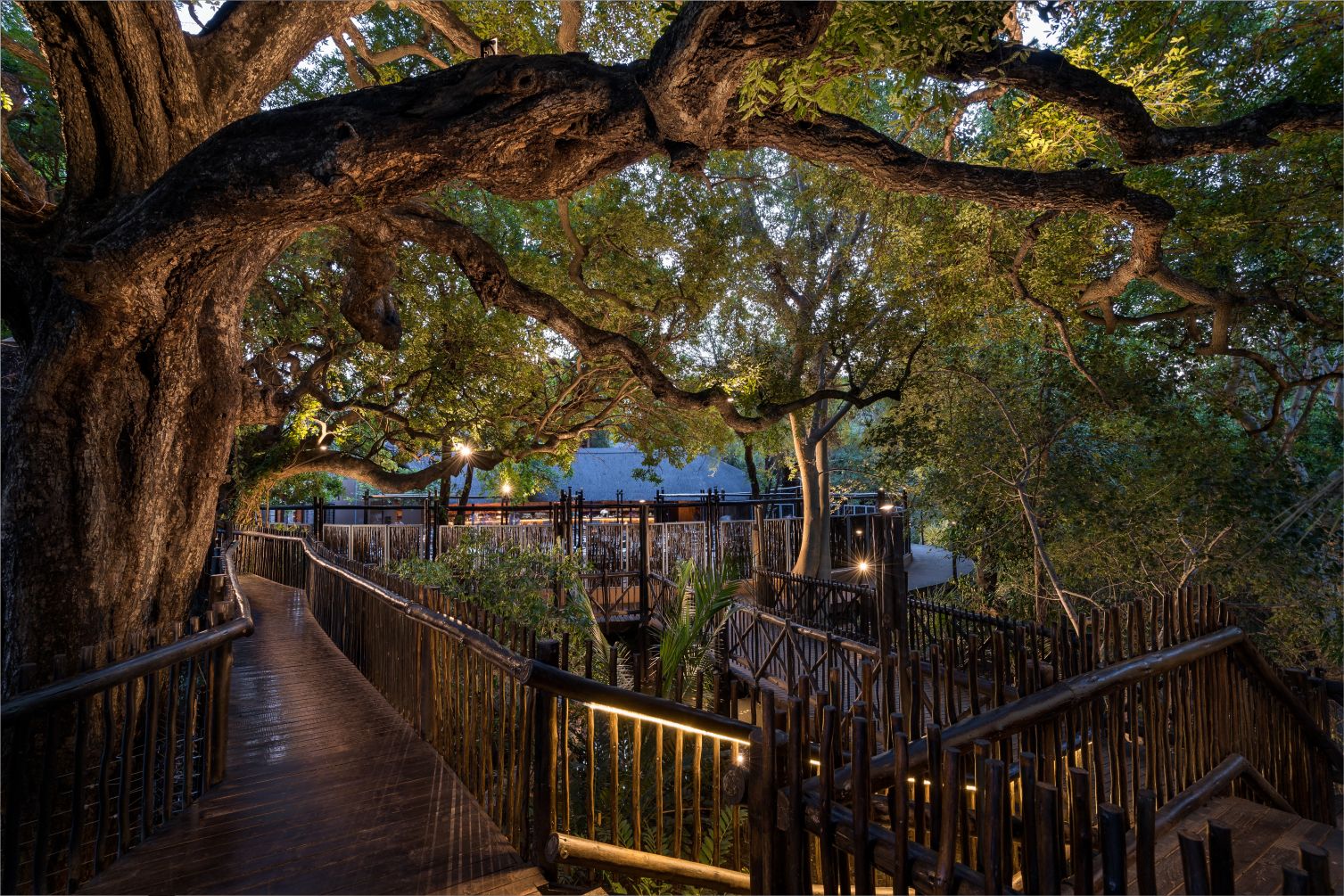 Kruger Gate Hotels wooden walkway