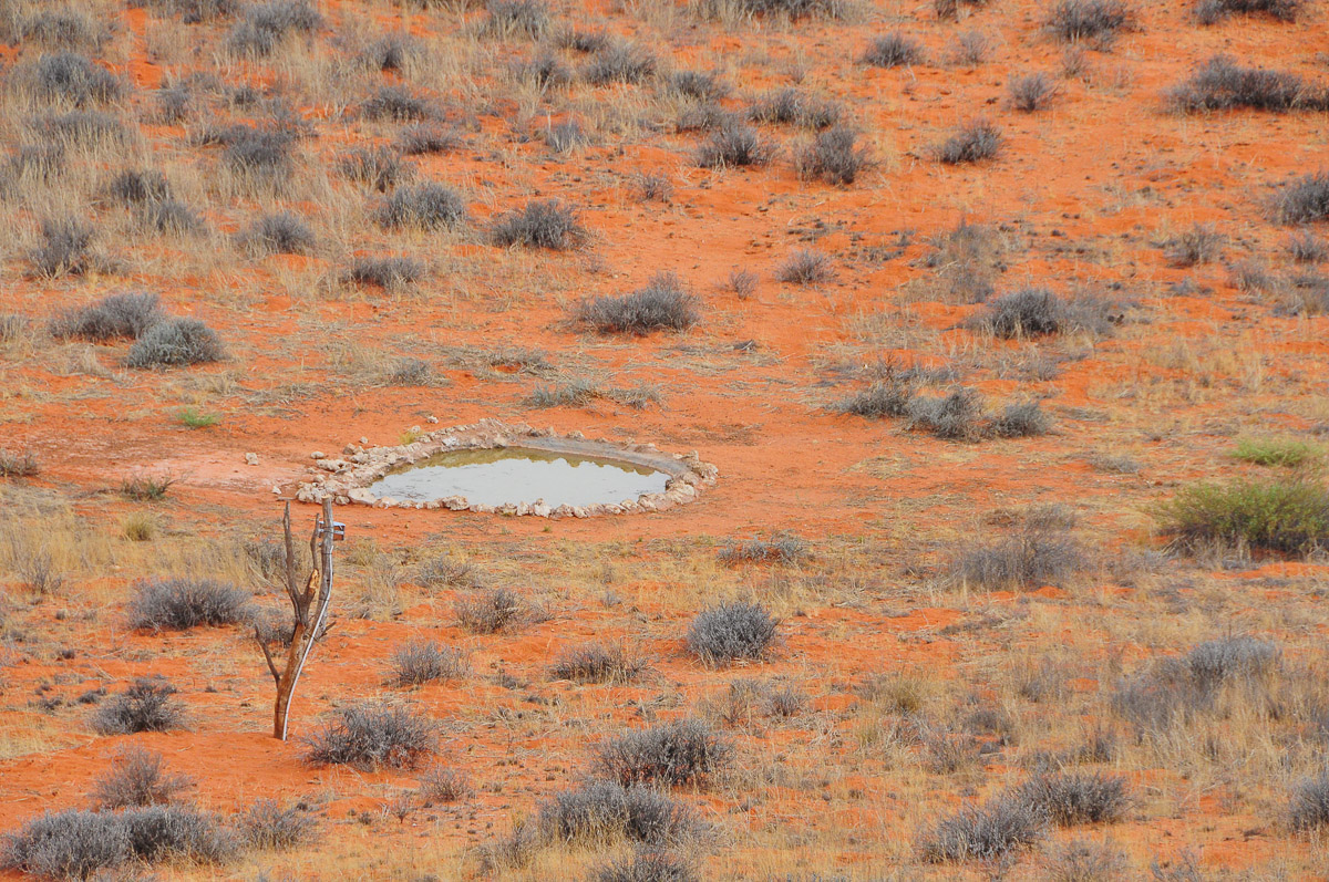 View of KielieKrankie waterhole by day