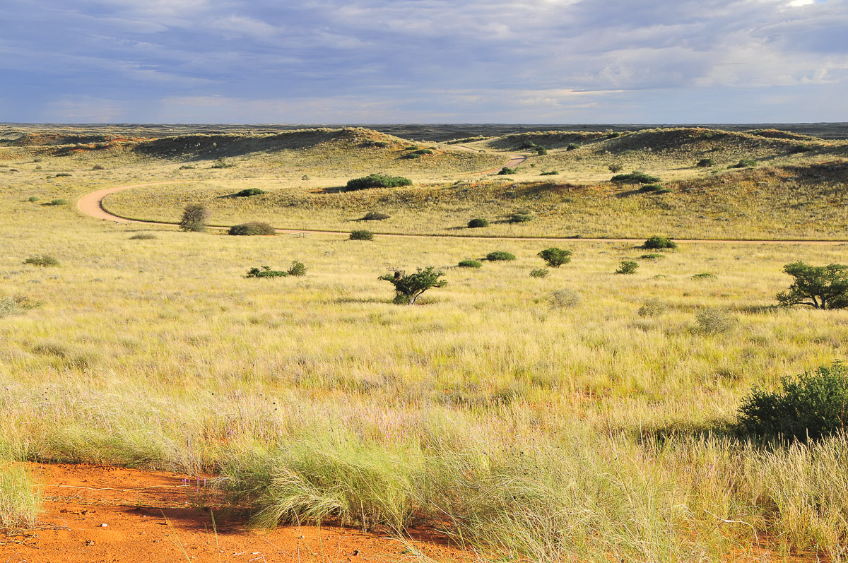 Back view from KielieKrankie camp