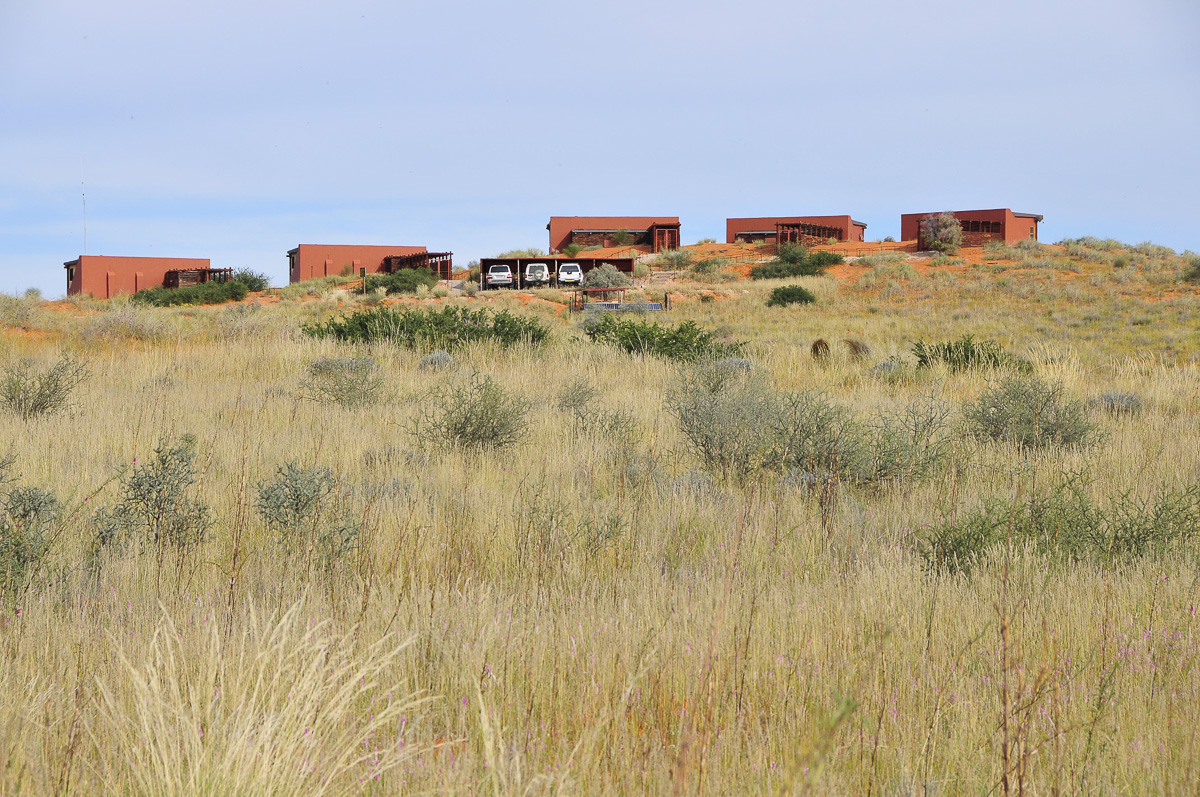 KielieKrankie camp from behind