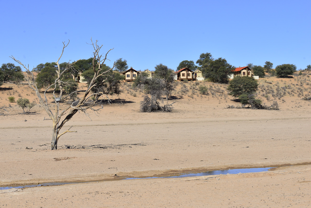 Looking up at Kalahari Tented Camp from the waterhole