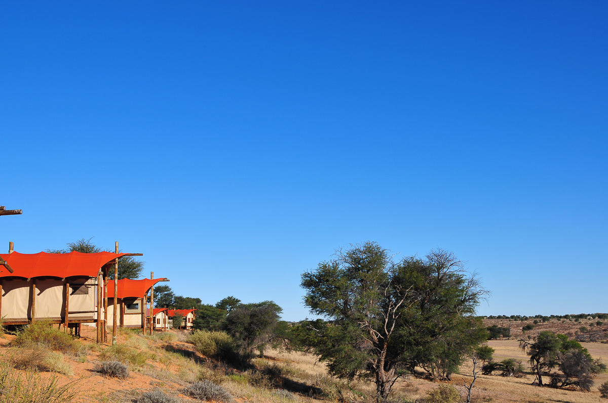 Desert tents at Kalahari Tented Camp