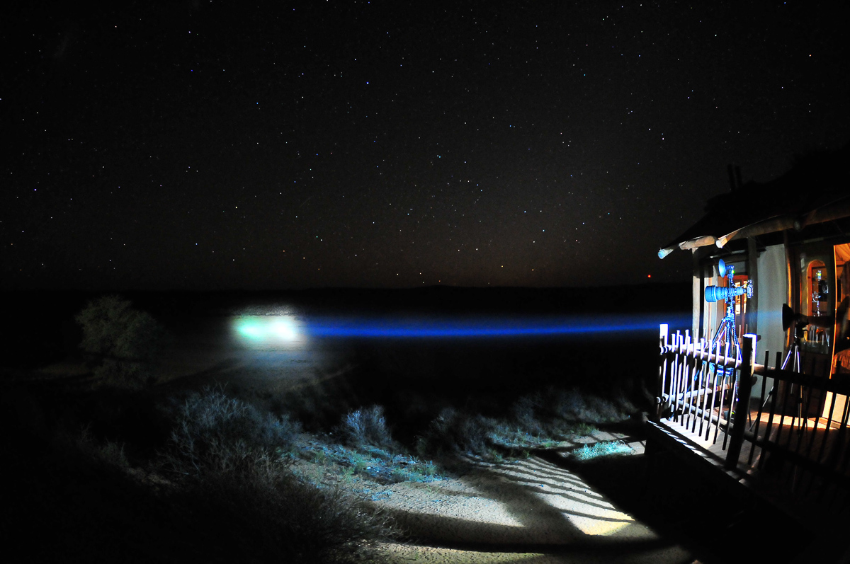 Our spotlight at Kalahari Tented camp