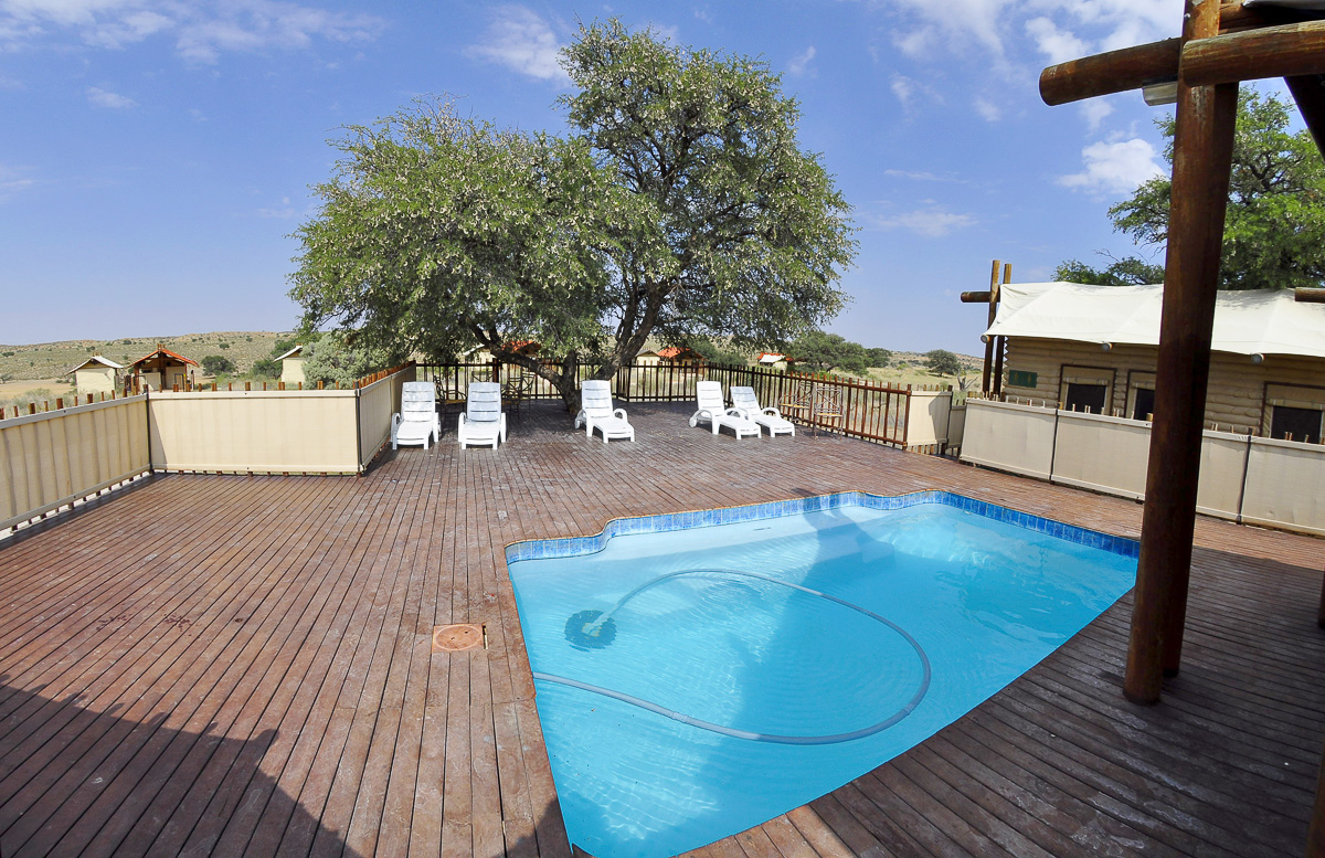Swimming Pool at Kalahari Tented Camp