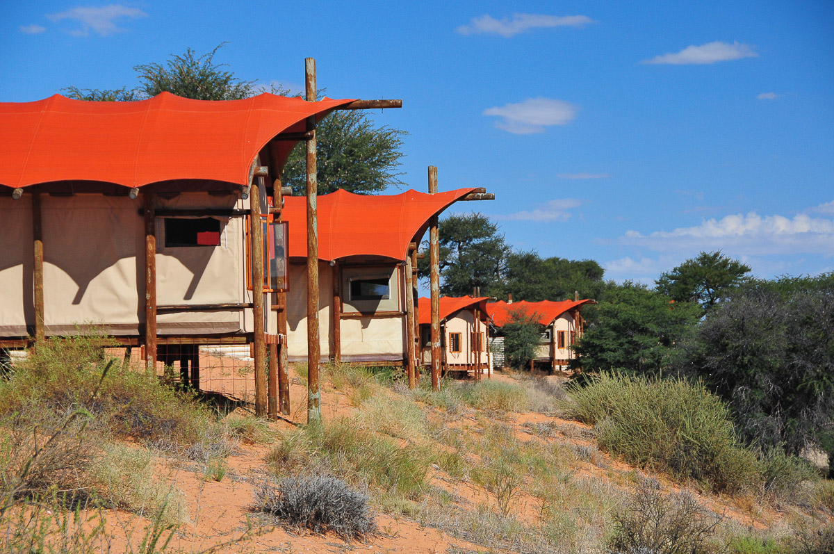 Kalahari Tented Camp is situated high up on a sand dune