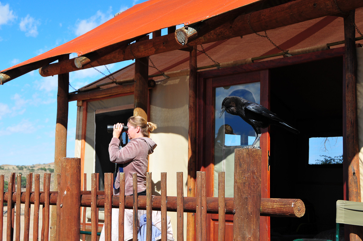 Jenny checking out the view at Kalahari Tented Camp