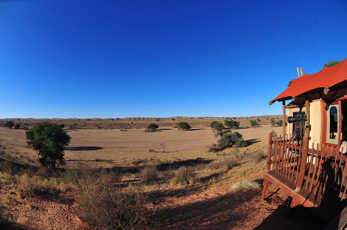 view from our tent at Kalahari Tented camp