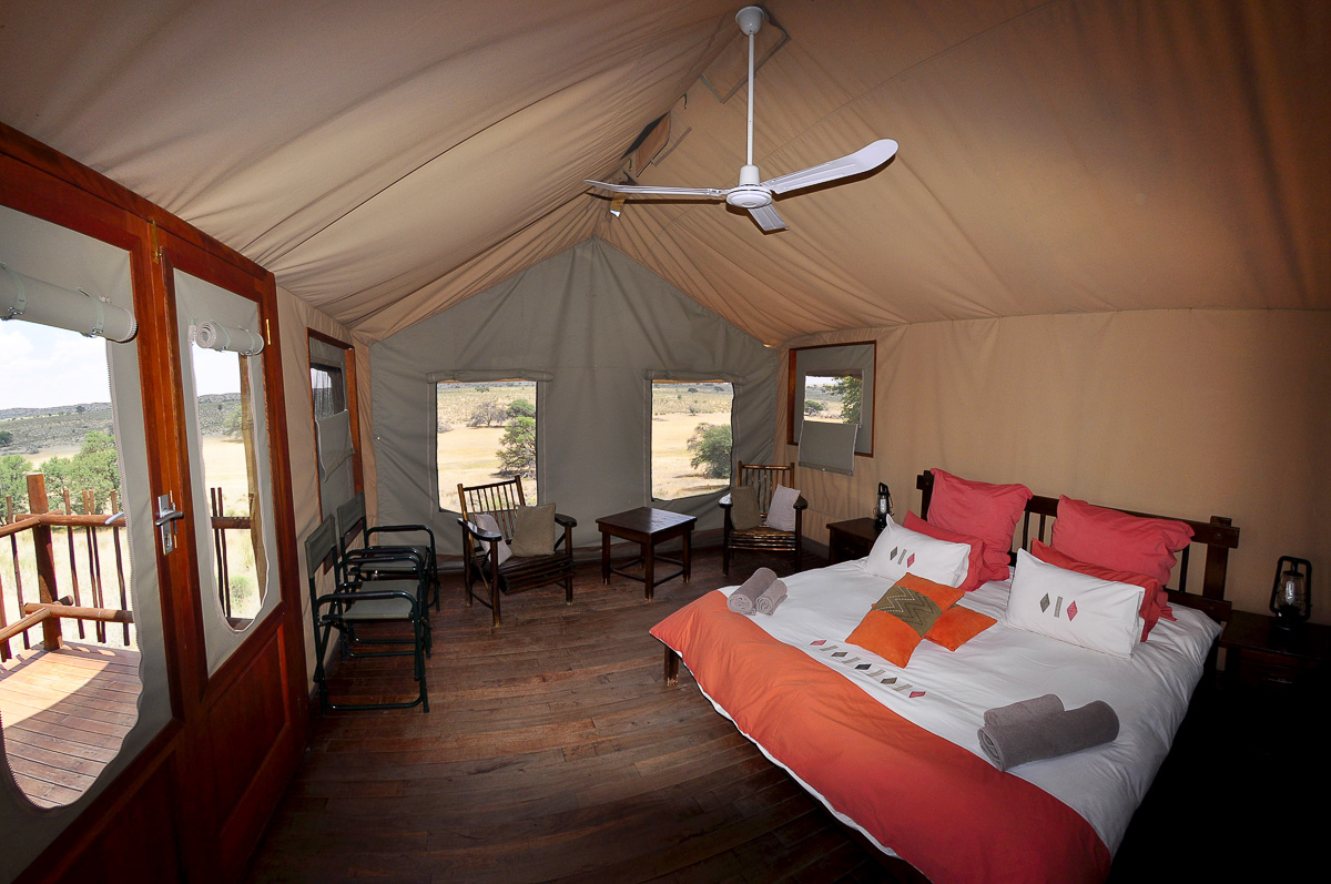 Inside view of our tent at Kalahari Tented Camp