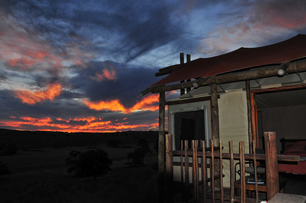 Night sky at Kalahari Tented Camp