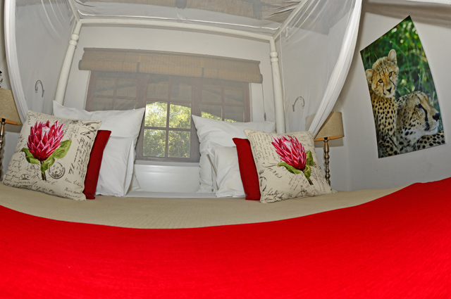 Dzombo family chalet Dzombo family chalet