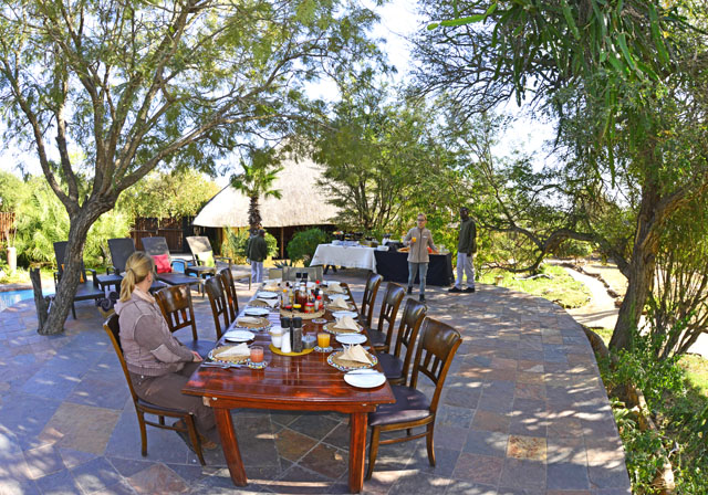 Safari Brunch Safari Brunch