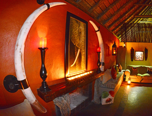 Large Elephant tusks on display Large Elephant tusks on display