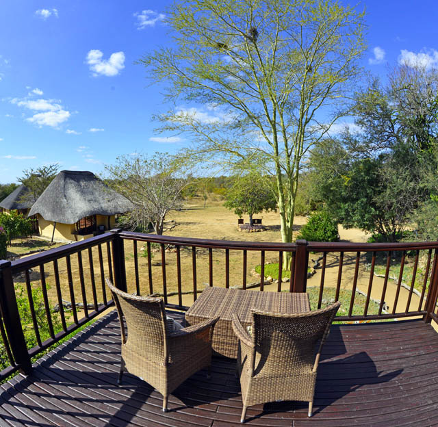 Fever tree view Kambaku lodge Fever tree view Kambaku lodge