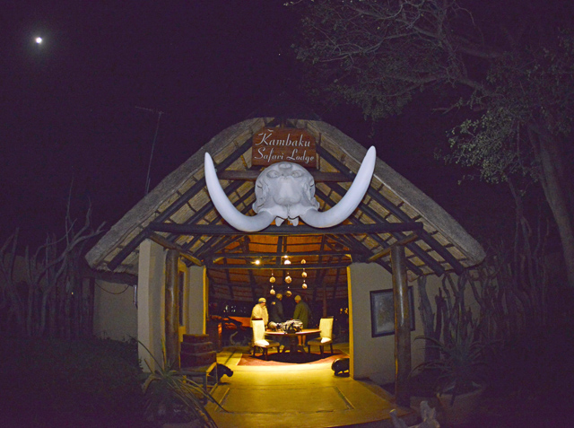 Kambaku tusks Kambaku tusks