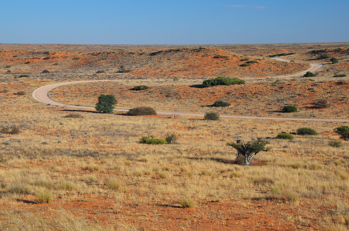 back view from Kieliekrankie cabins