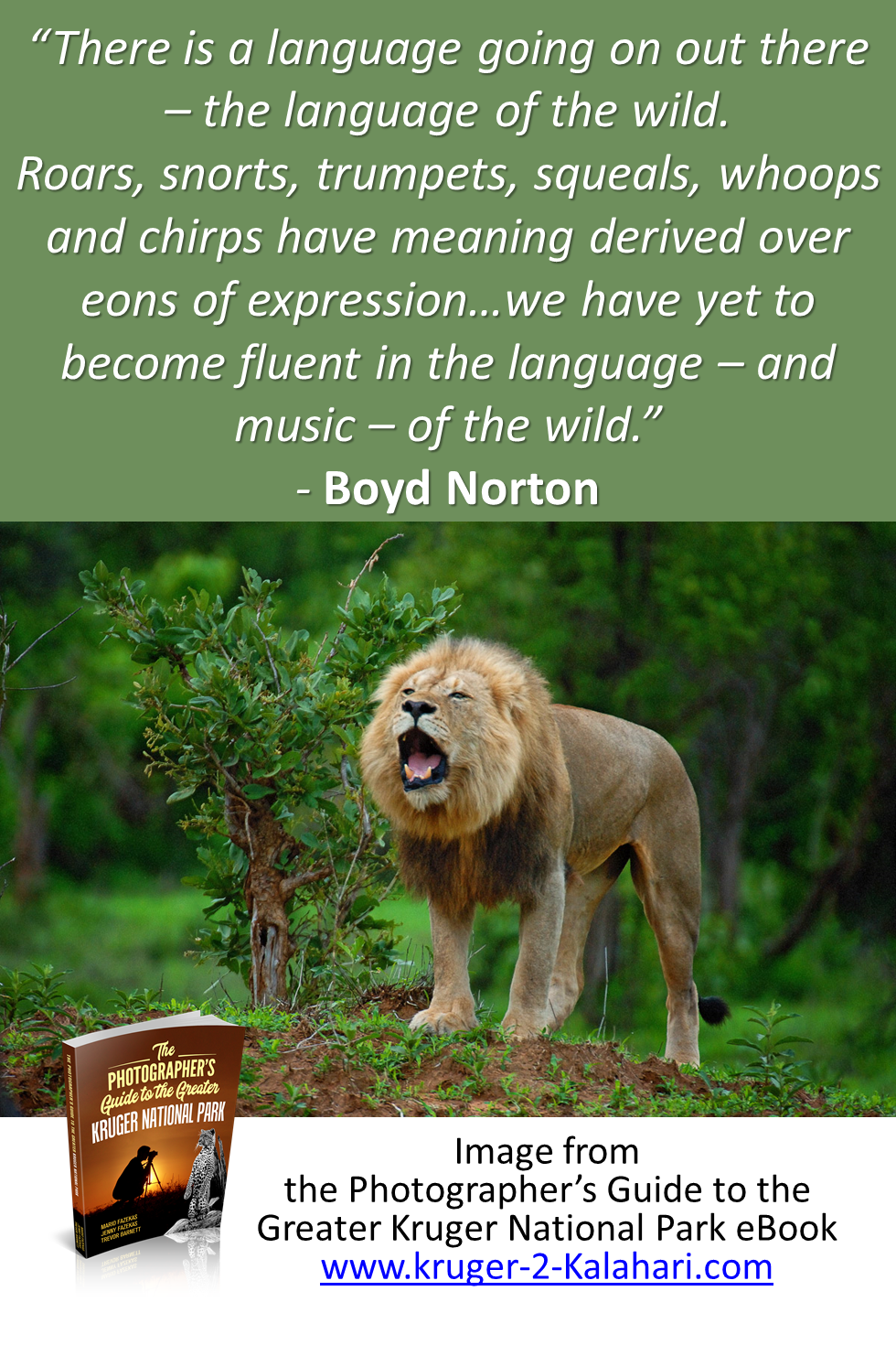 Boyd Norton African safari quote - Kruger National Park