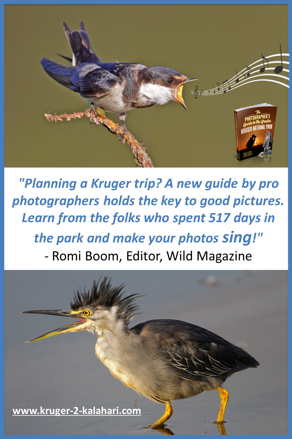 Birds of the Kruger National Park