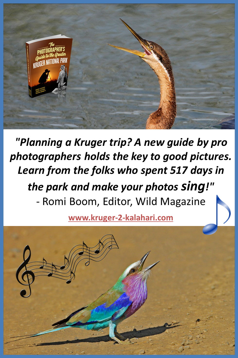 Birds of the Greater Kruger National Park