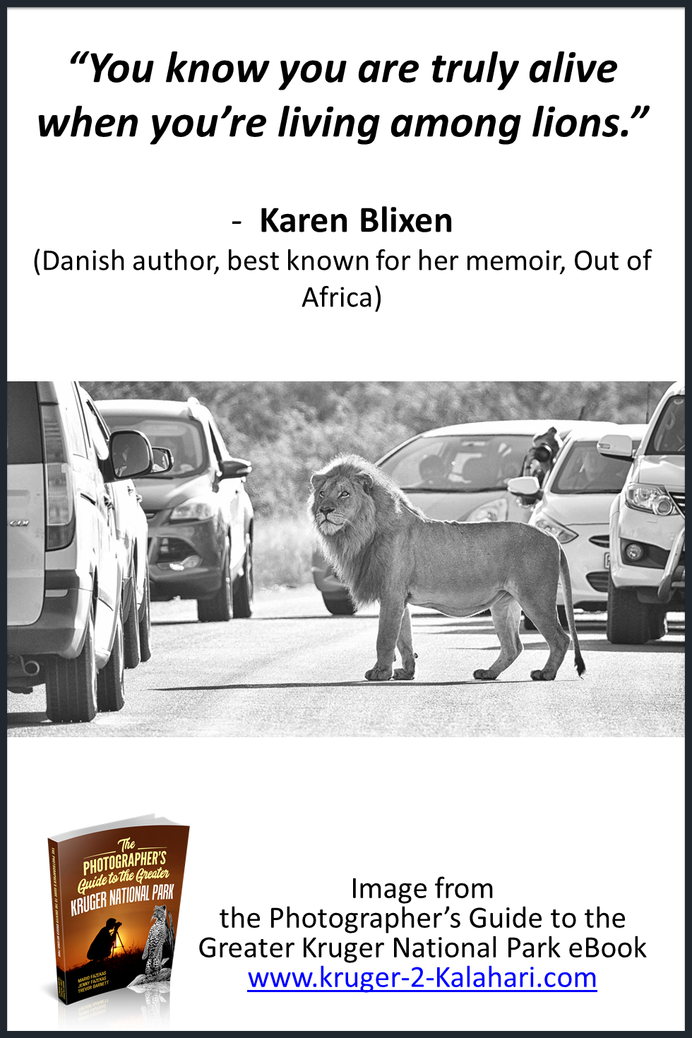 Karen Blixen Lion quote - Kruger National Park