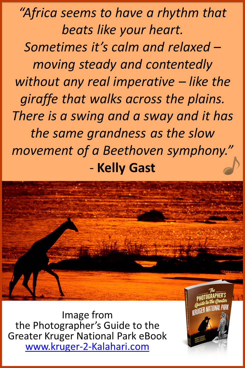 Giraffe silhouette - Olifants River at sunset, Kruger National Park