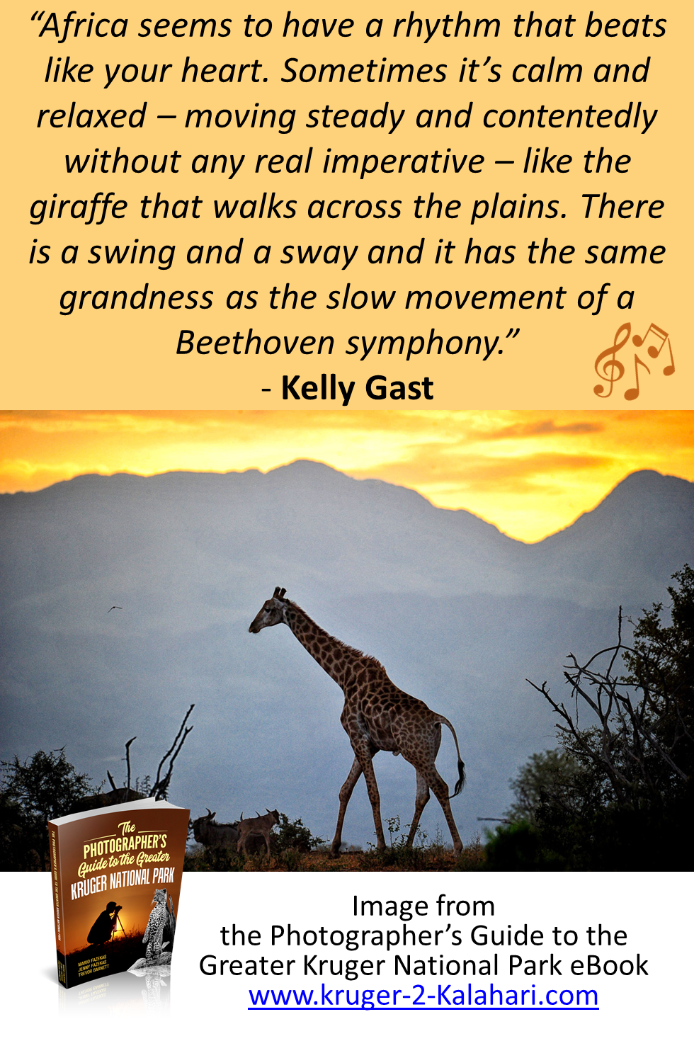 Africa rhythm quote - Giraffe silhouette - Kruger National Park