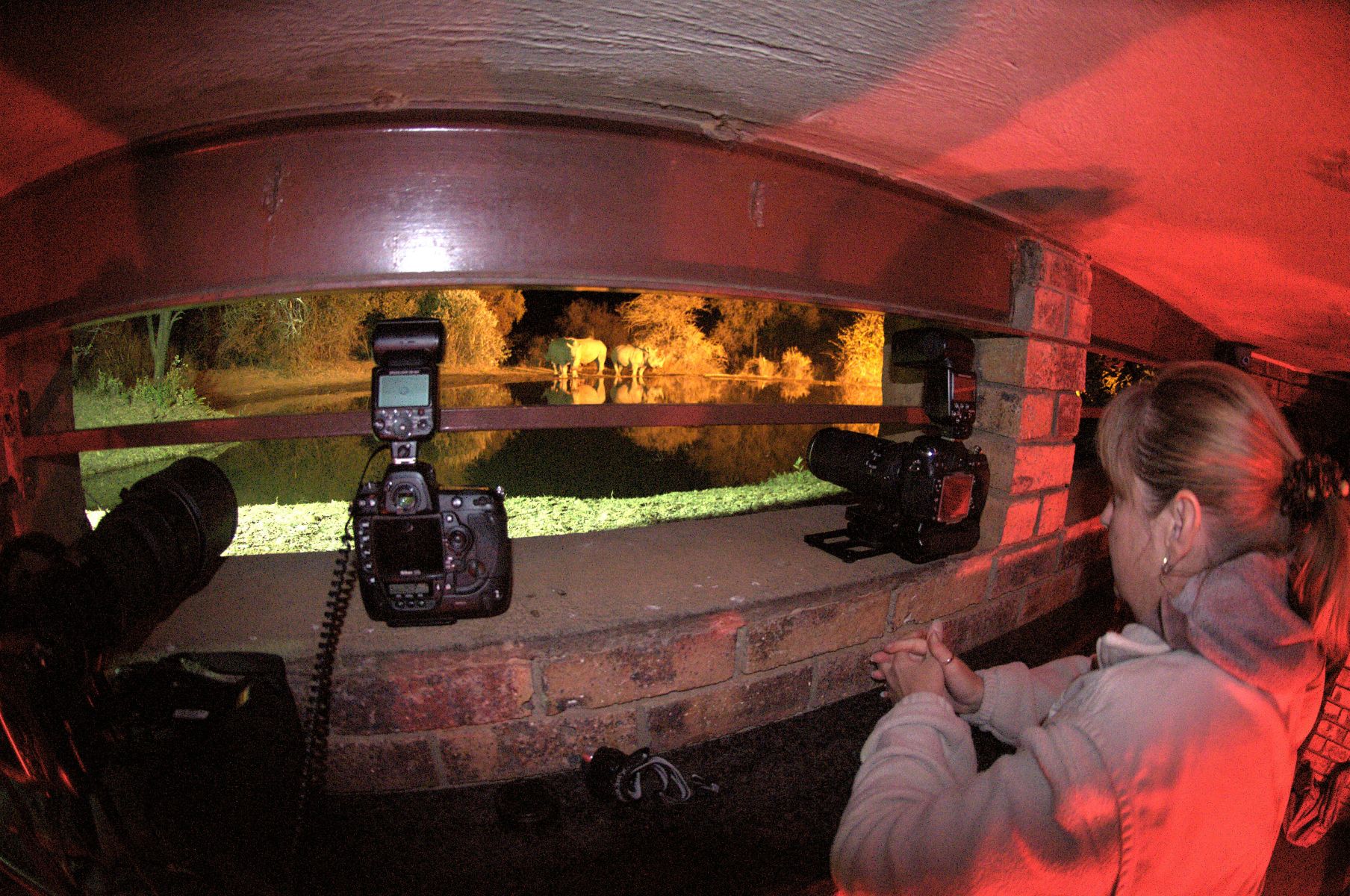 Kwa Maritane hide at night