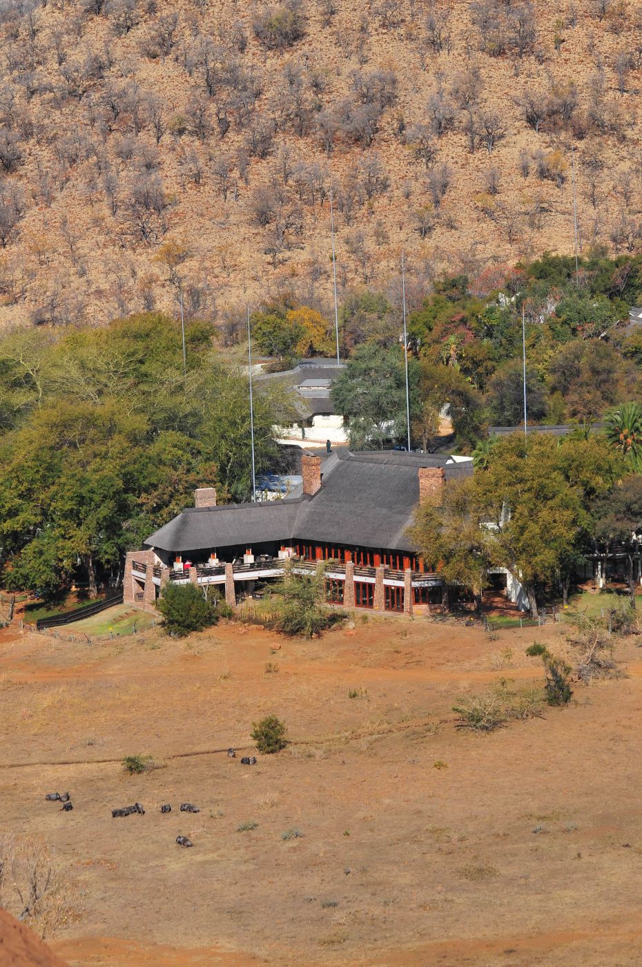 Kwa Maritane Lodge in the Pilanesberg
