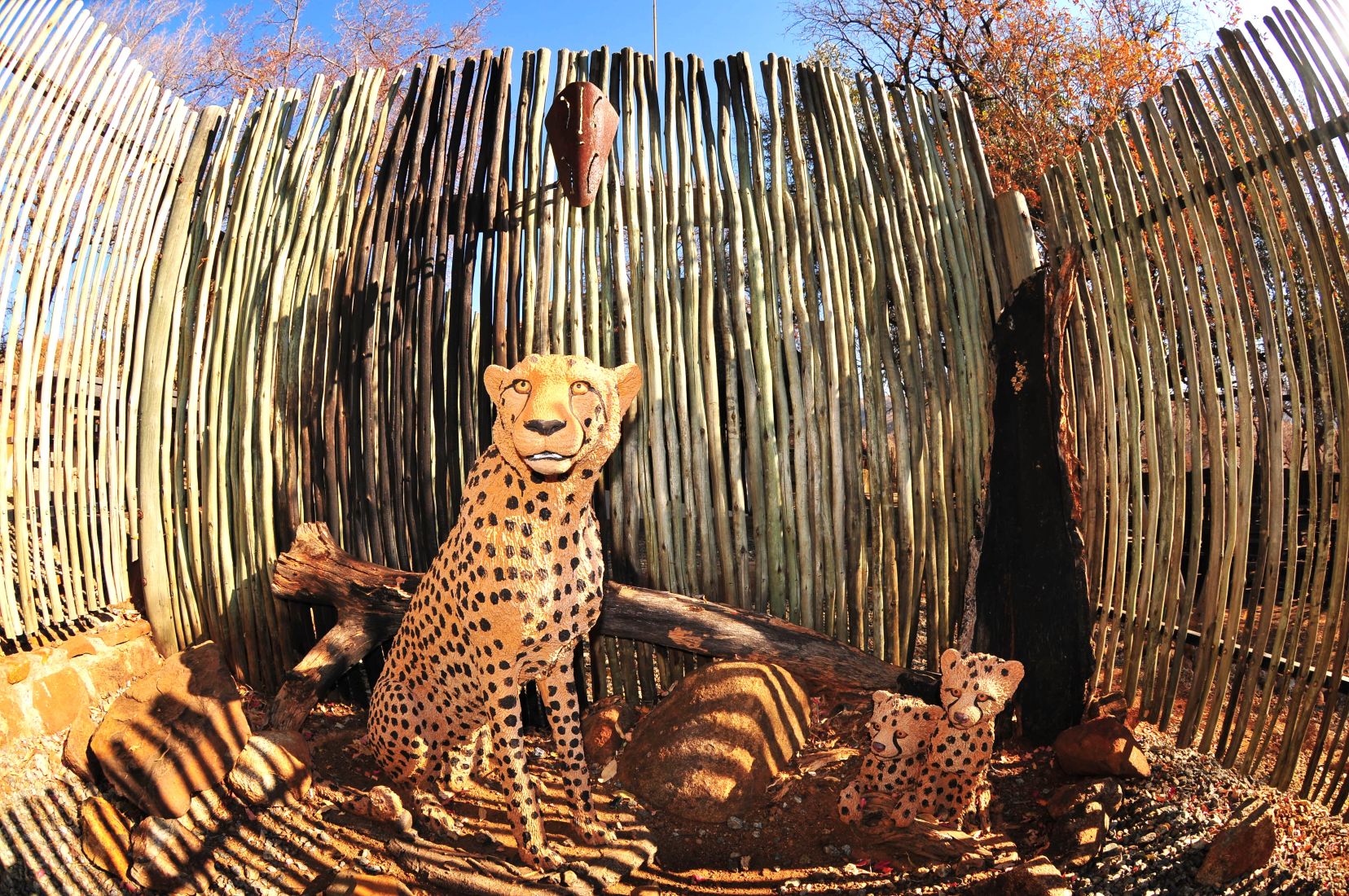 Kwa Maritane boma cheetah