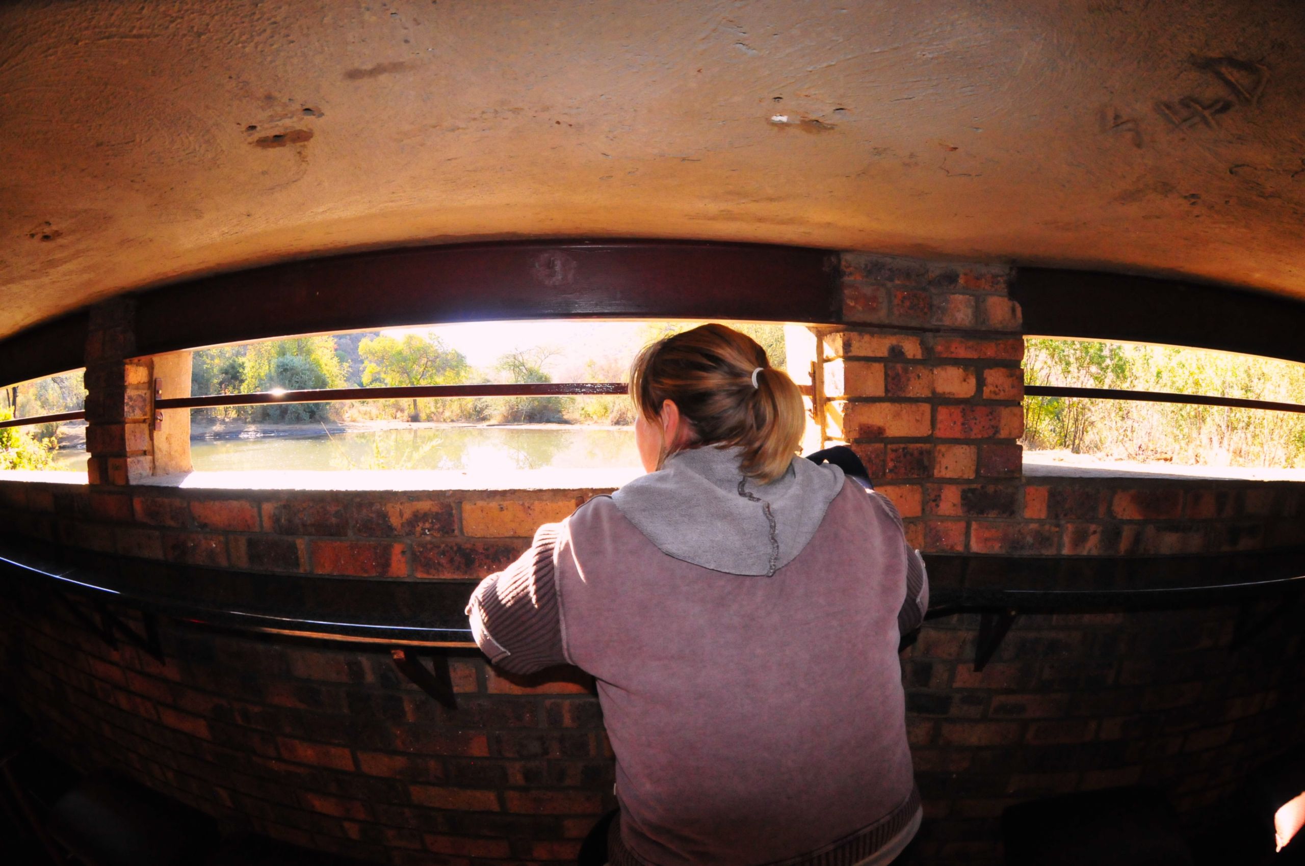 Kwa hide by day in the Pilanesberg