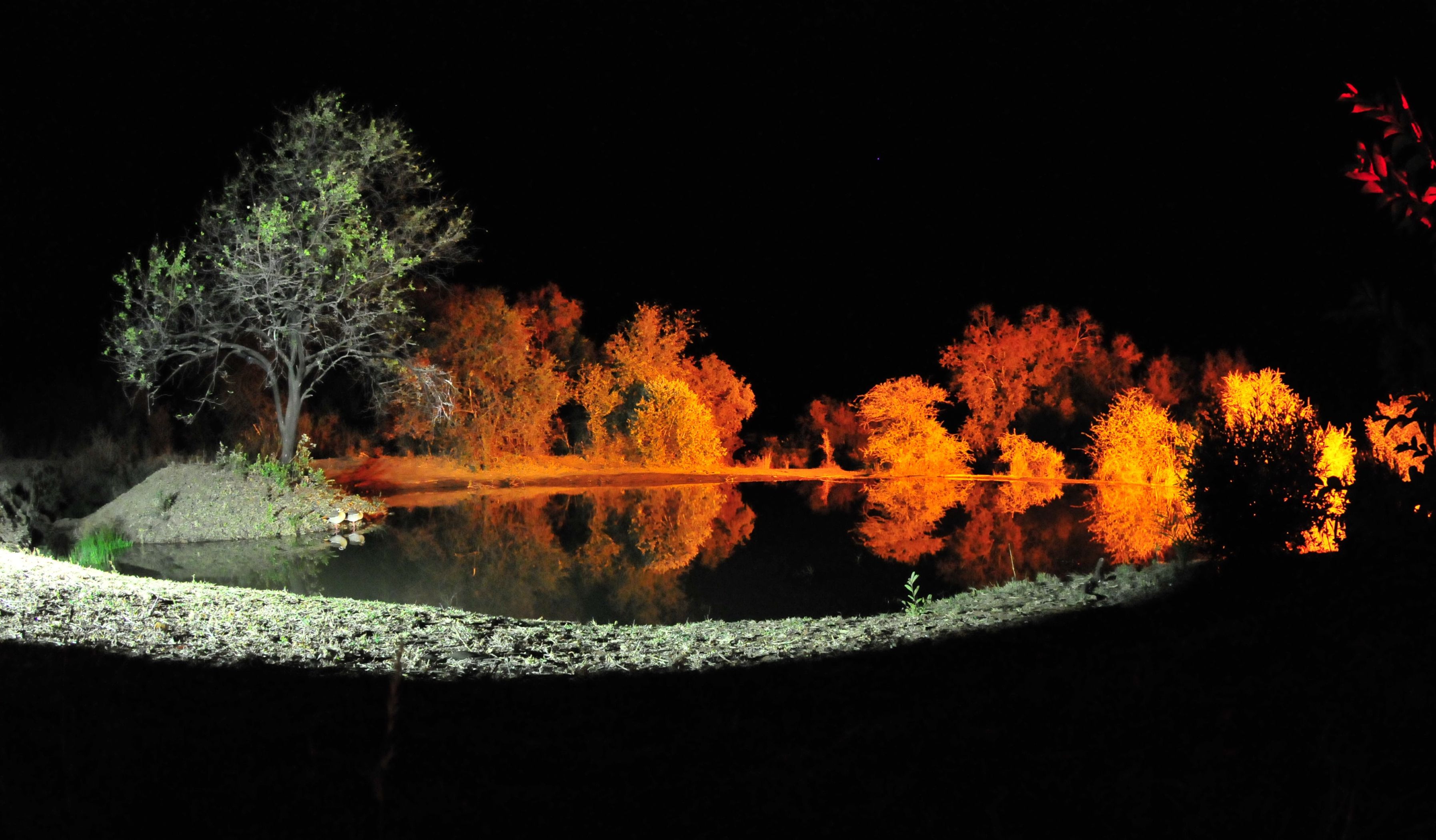 Kwa Maritane underground hide and floodlit waterhole