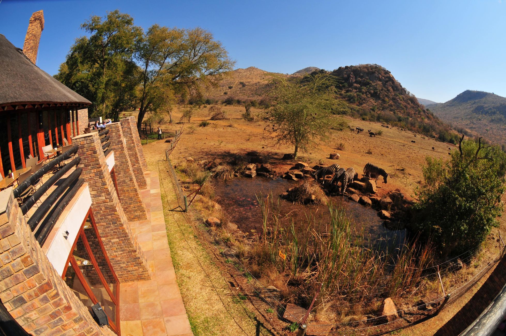 Kwa waterhole image taken from the restaurant terrace