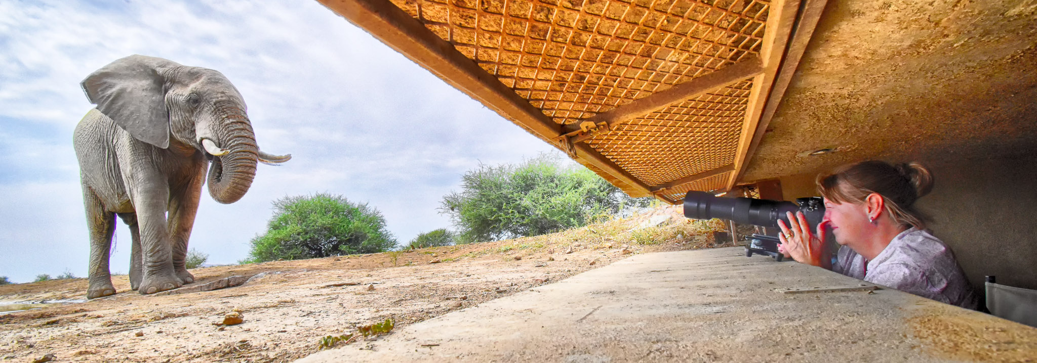Last Word Madikwe underground hide