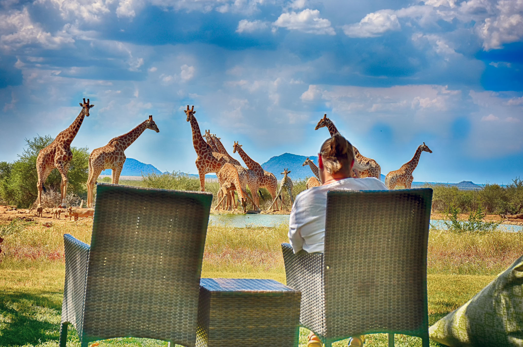 Giraffeherd at the Last Word Madikwe waterhole