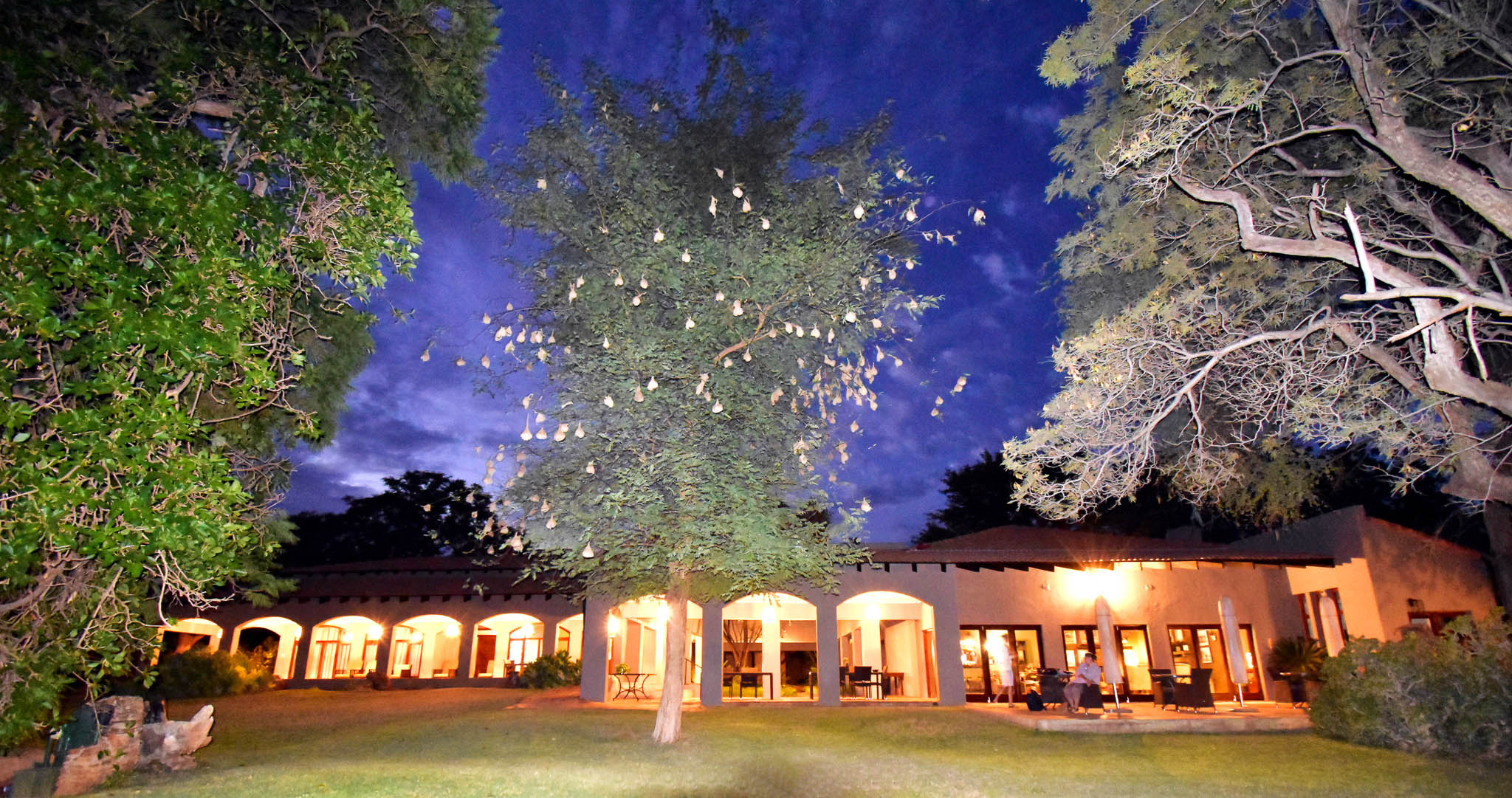 Last Word Madikwe lodge