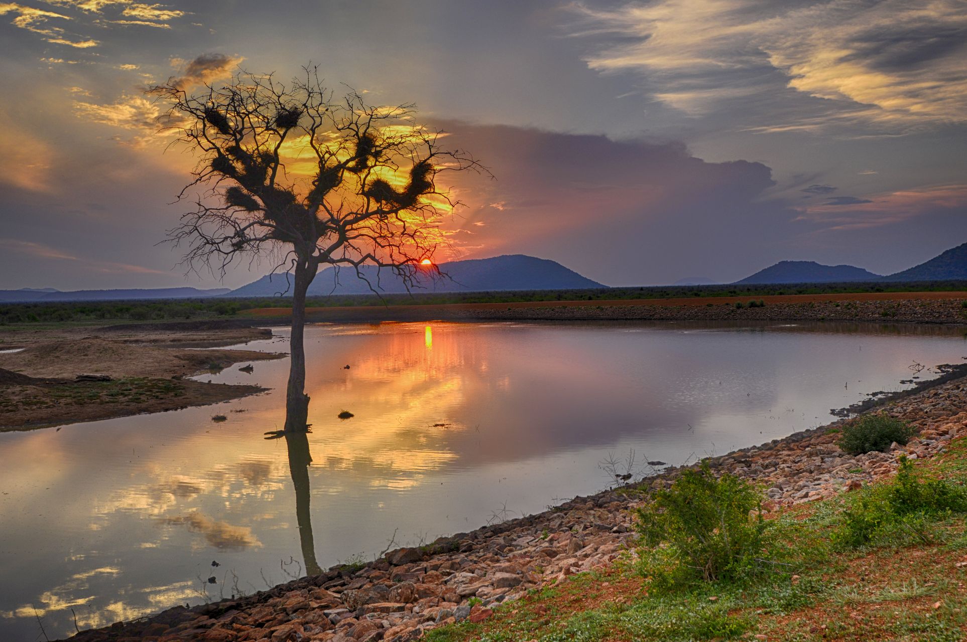 Landscape image taken on our game drive at Motswiri Peivate Safari Lodge
