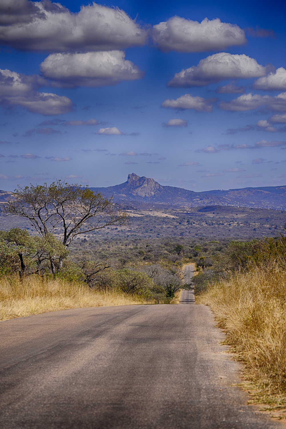 Legogote Mountain image taken on the H1-1 near Pretoriuskop in the Kruger National Park