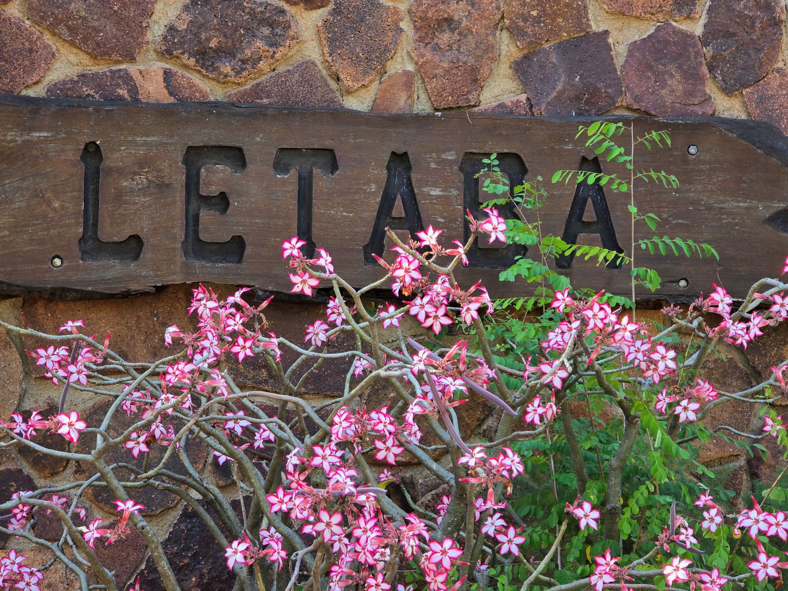 Letaba gate sign in the Kruger