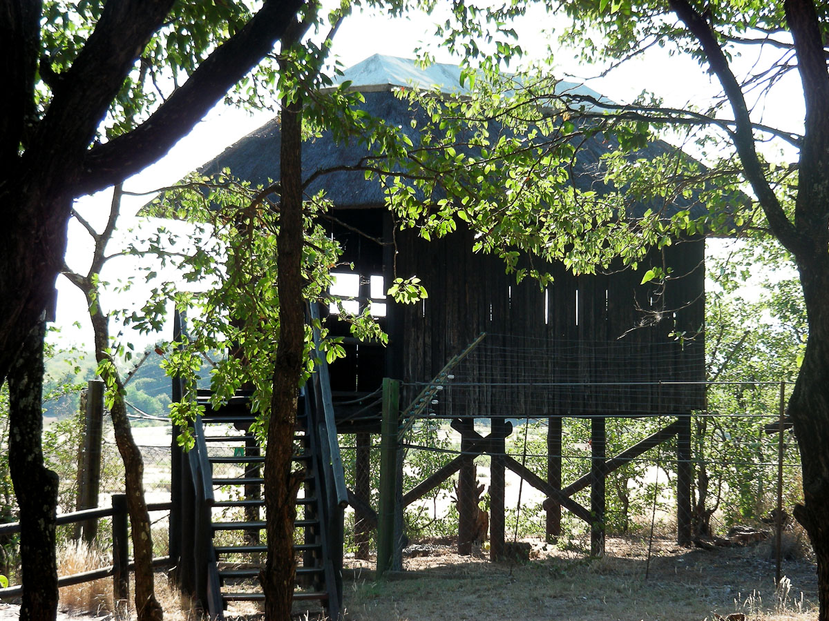 a closer view of Fish Eagle hide
