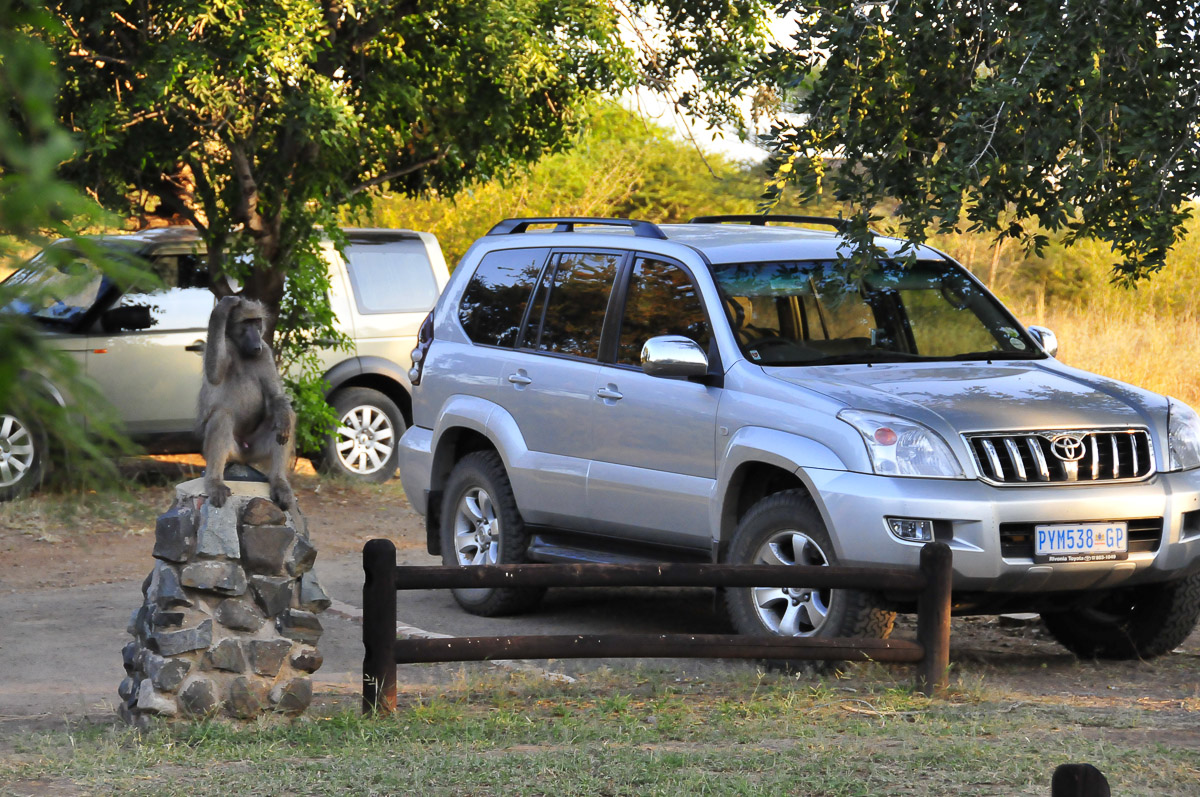 Lower Sabie car guard