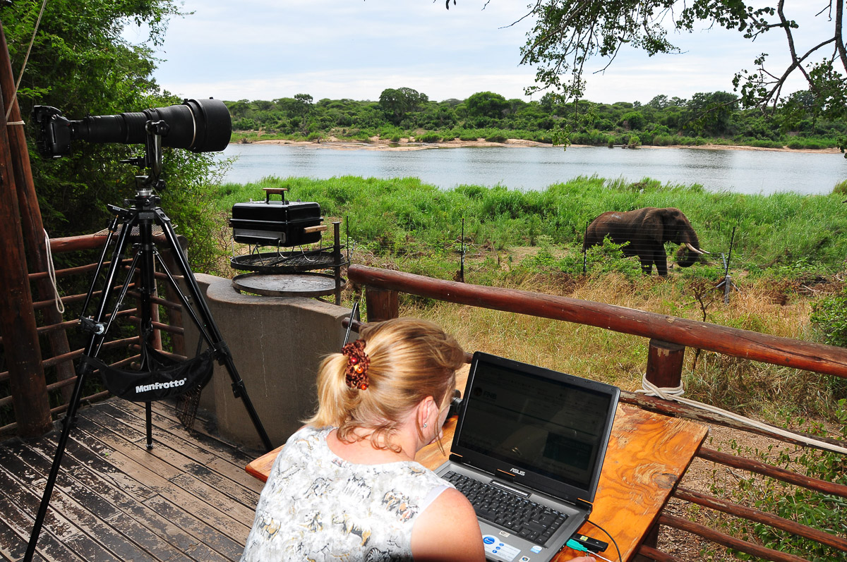 Jenny at the tent at Lower Sabie with elephant walking past