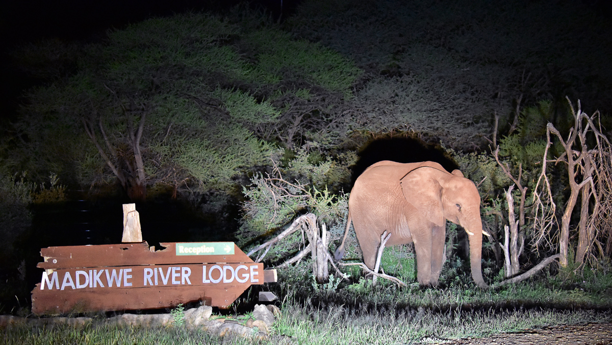 Madikwe River Lodge sign