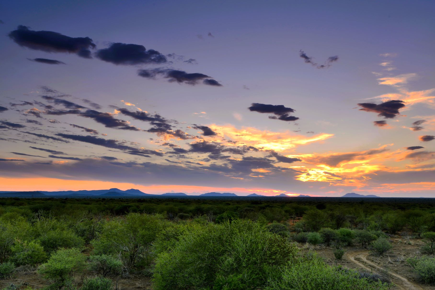 Sunset Image taken from the sleepout hide at Makanyane Safari Lodge