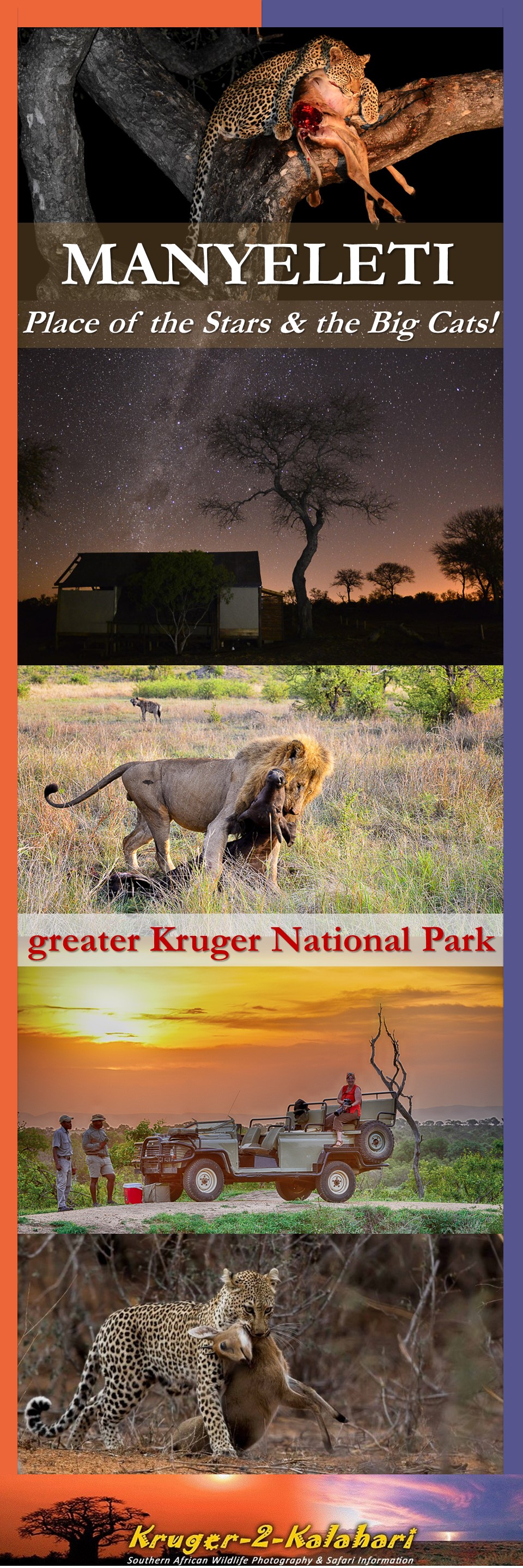 Manyeleti Game Reserve - Place of the Stars & the Big Cats!