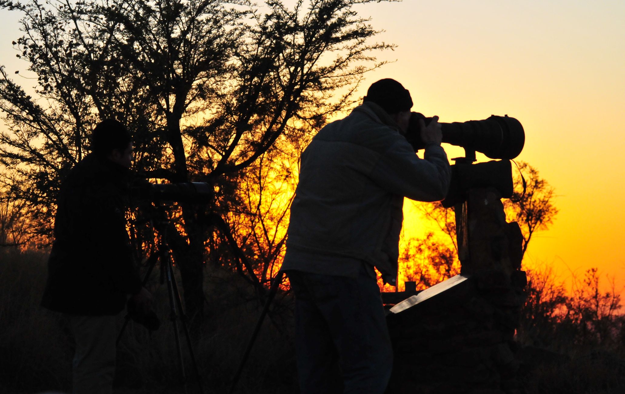 Mario photographing from view point