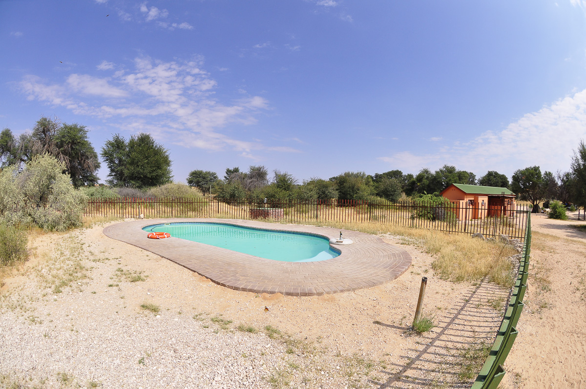 Mata Mata camps swimming pool