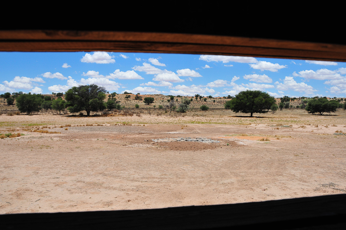 The view of the waterhole from inside the hide at Mata mata camp