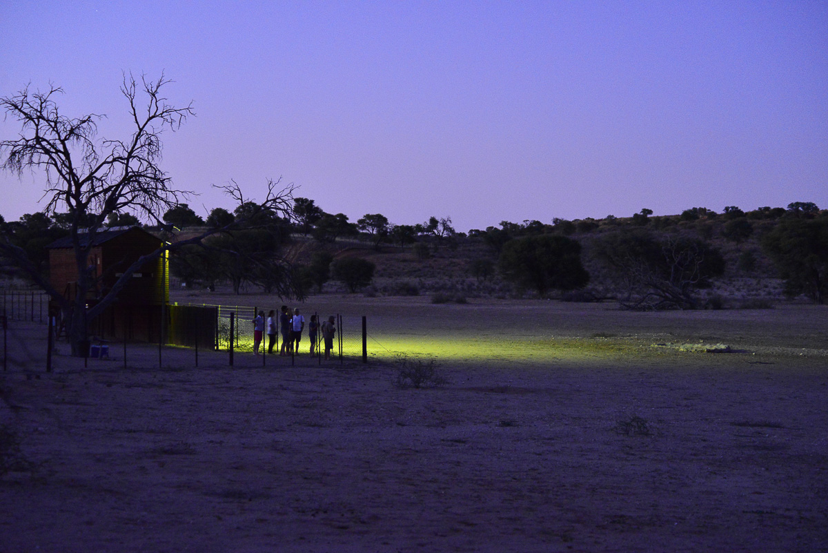 The Mata mata hide and waterhole at night