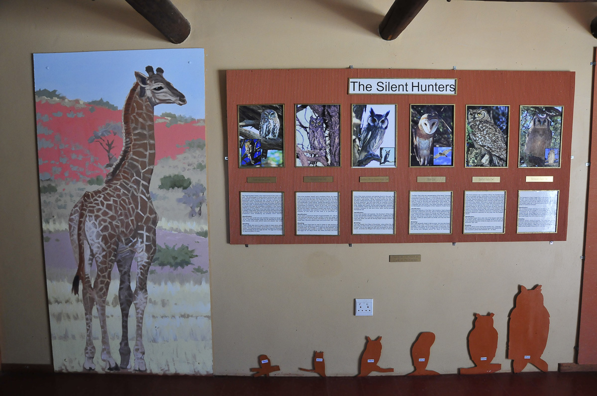 Information centre t Mata Mata camp