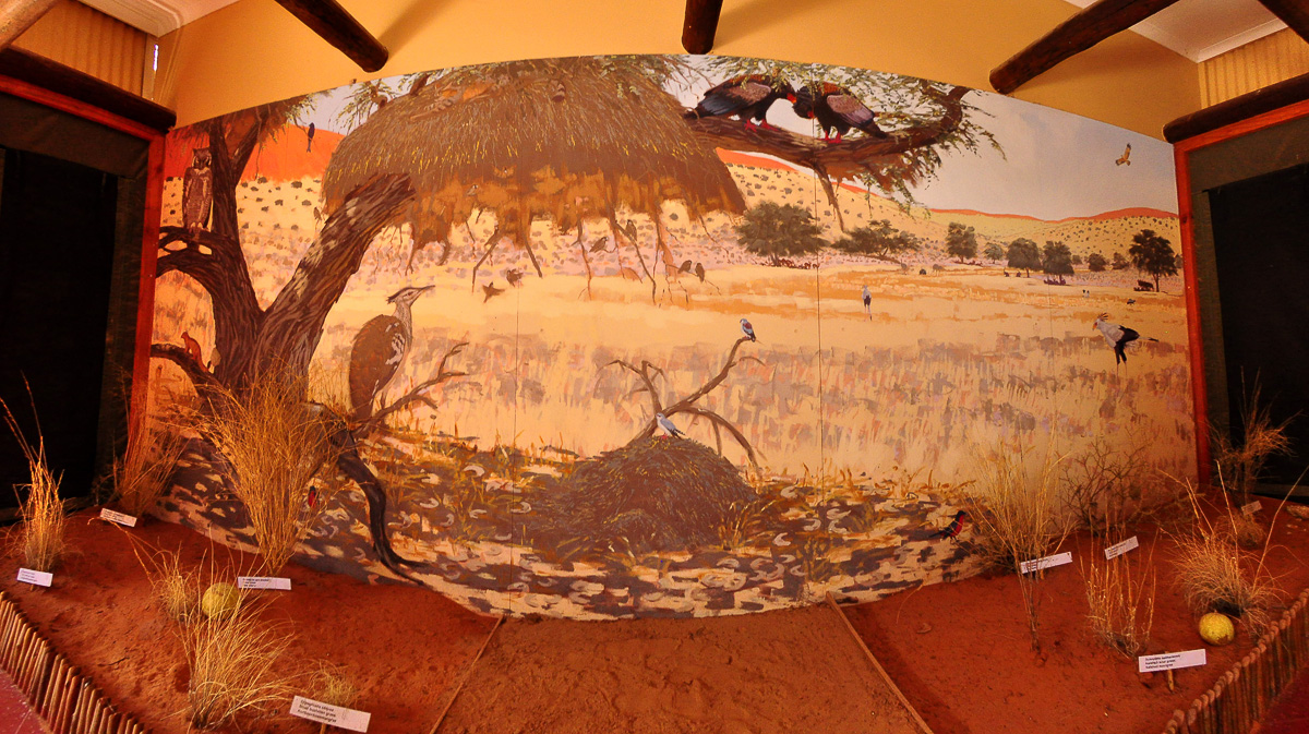 Mata Mata camps information centre